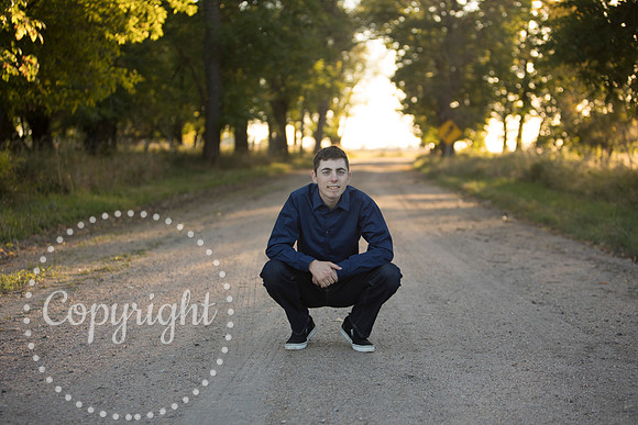 469A8198