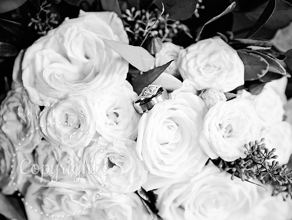 7Y5A7547_1 copy