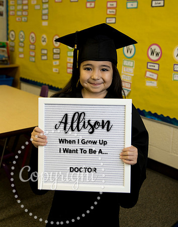 Allison Board