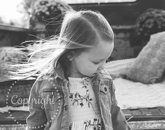 7Y5A7340bw