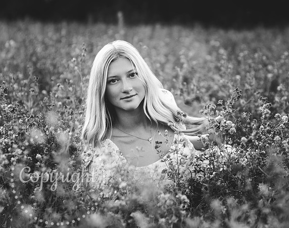 469A9290 copybw