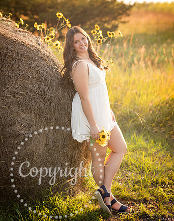 469A3843 copy