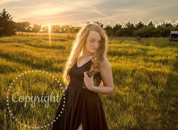 7Y5A3576_1