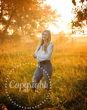 469A2452 copy